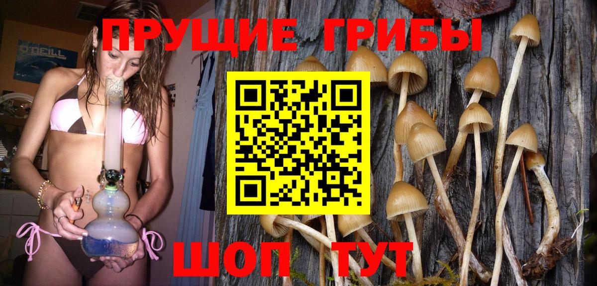 Галлюциногенные грибы Magic Shrooms Ефремов